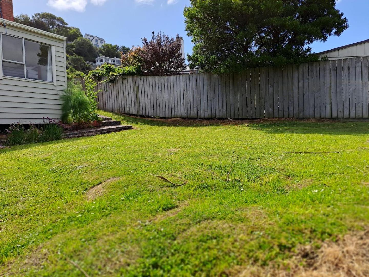 St Clair Apartment - 2 Bedrooms Dunedin Exterior foto
